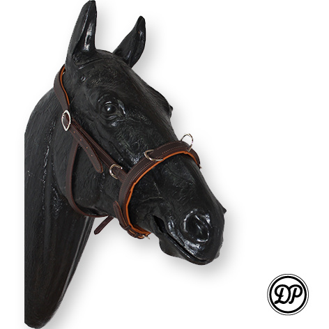 Soft Feel Cavesson Leder