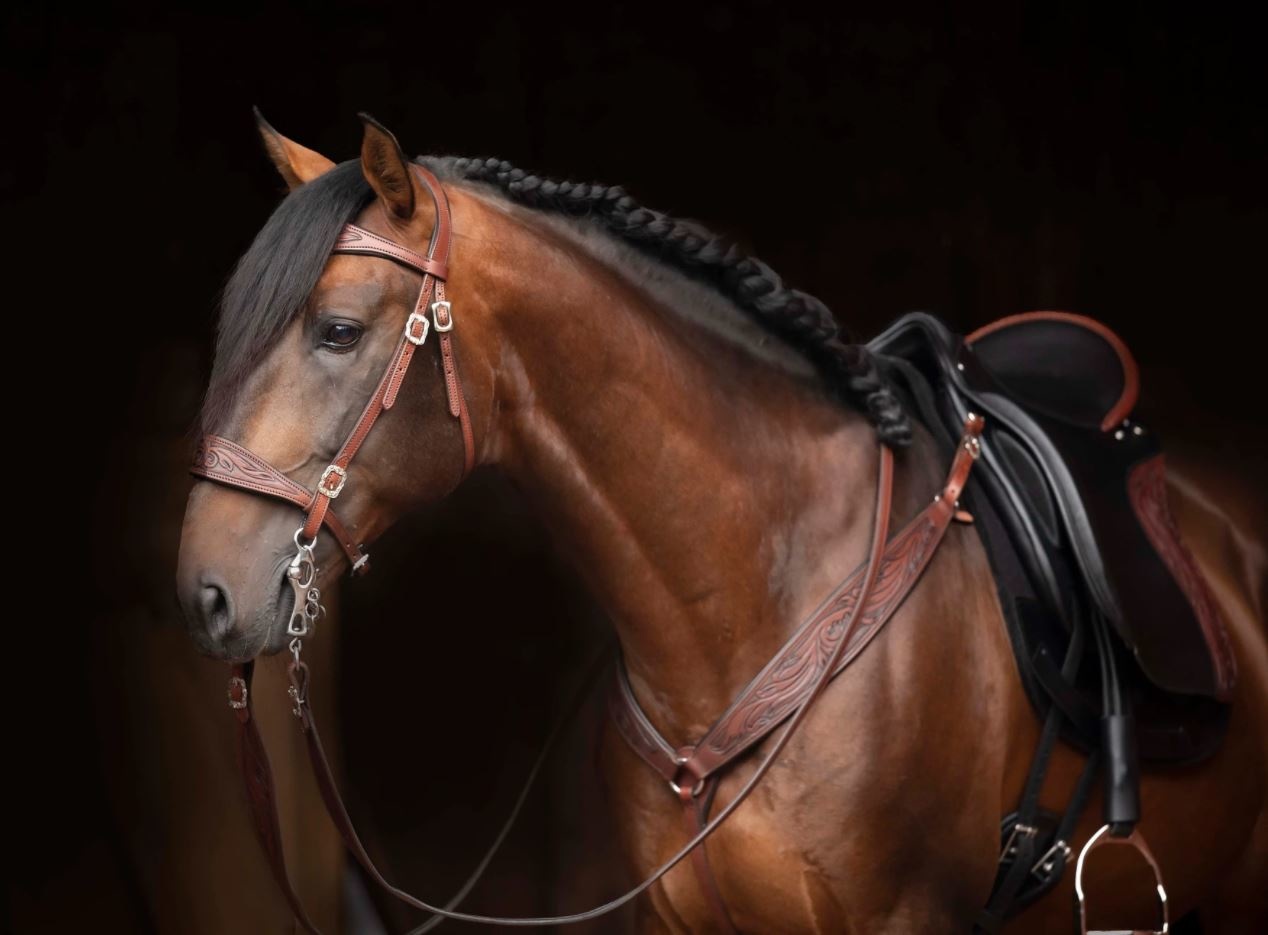 Soft Feel breast collar Decor leather