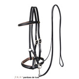 Pardoes de luxe sidepull bitless Zaumzeug leather