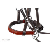 Isabel sidepull bitless bridle leather