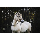 Pardoes de luxe sidepull bitlooshoofdstel leer