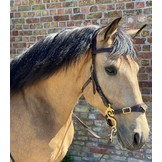 Bitless bridle Imperial leather