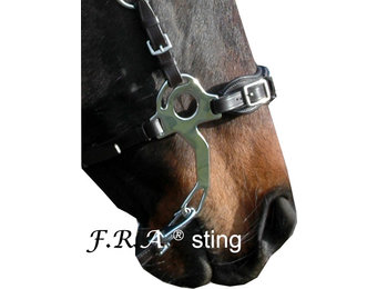 Hackamore Sting