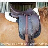 Lammfelle Dressur oder VS Pad mit Einlage