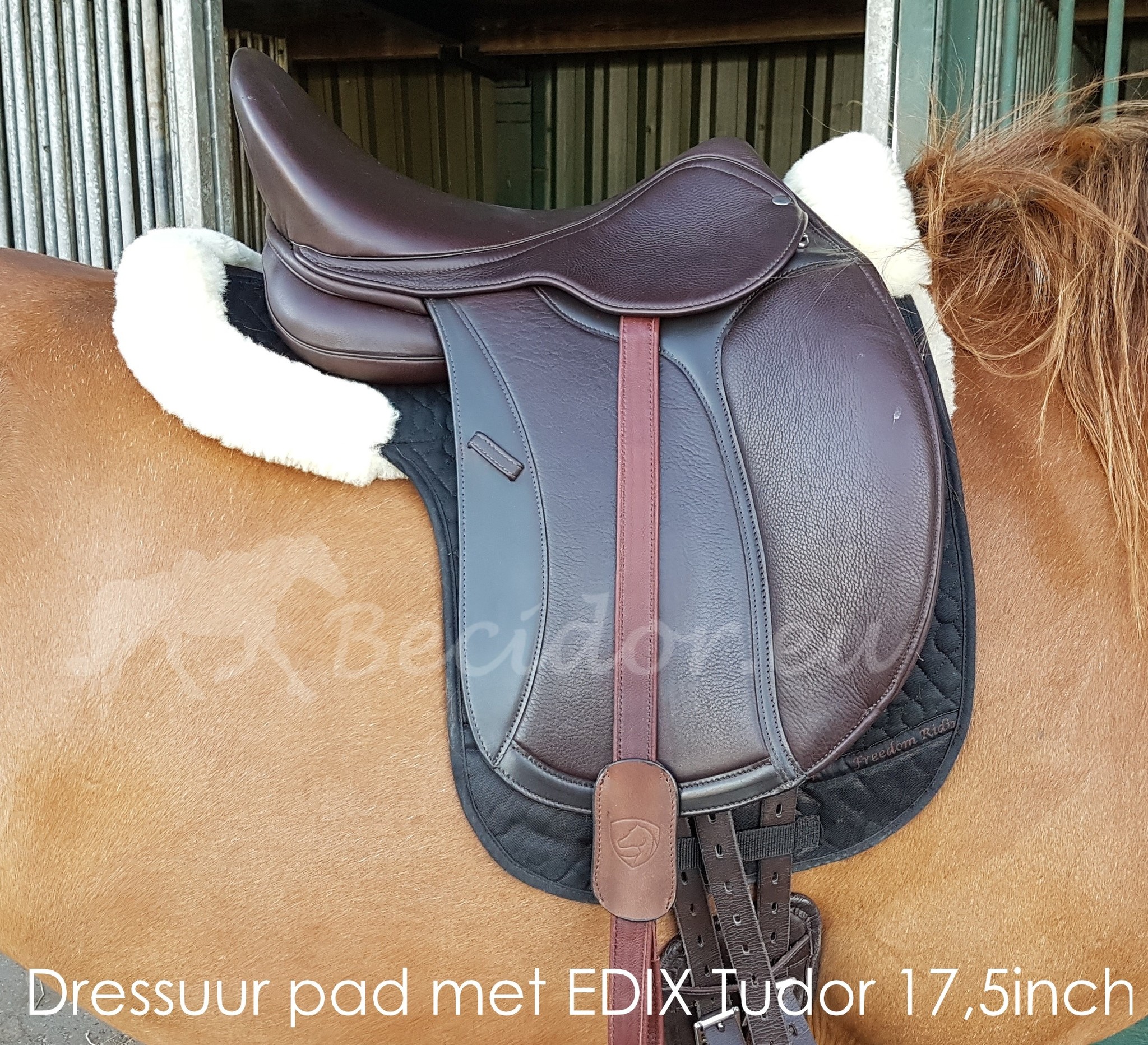 Sheepskin Dressage or GP pad with inlays