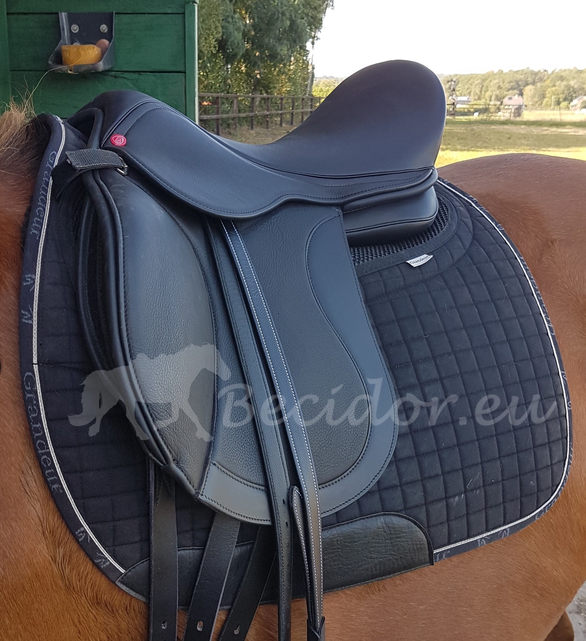 Test saddle Emir 18 inch GP