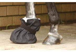 Hoof bandage shoe size L