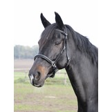 Halter bridle Solibel leather