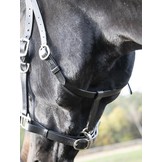 Halter bridle Solibel leather