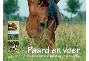 Pferd buchen und füttern