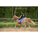 Support suede bareback pad, anti slip