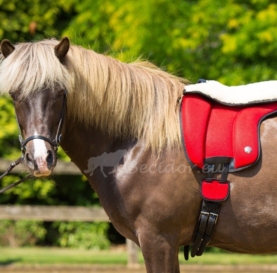 Schafwollsitz für Bareback-Pad fur Airmesh oder Wildleder Reitpad