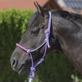 Rope halter Sparkle with diamonds