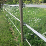 Farbbandspanner und Isolator 40 mm