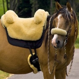 Test Christ Iberica Fellsattel