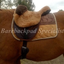 Test Reitpad FRA Macon