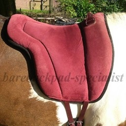 Support TESTBAREBACKPAD