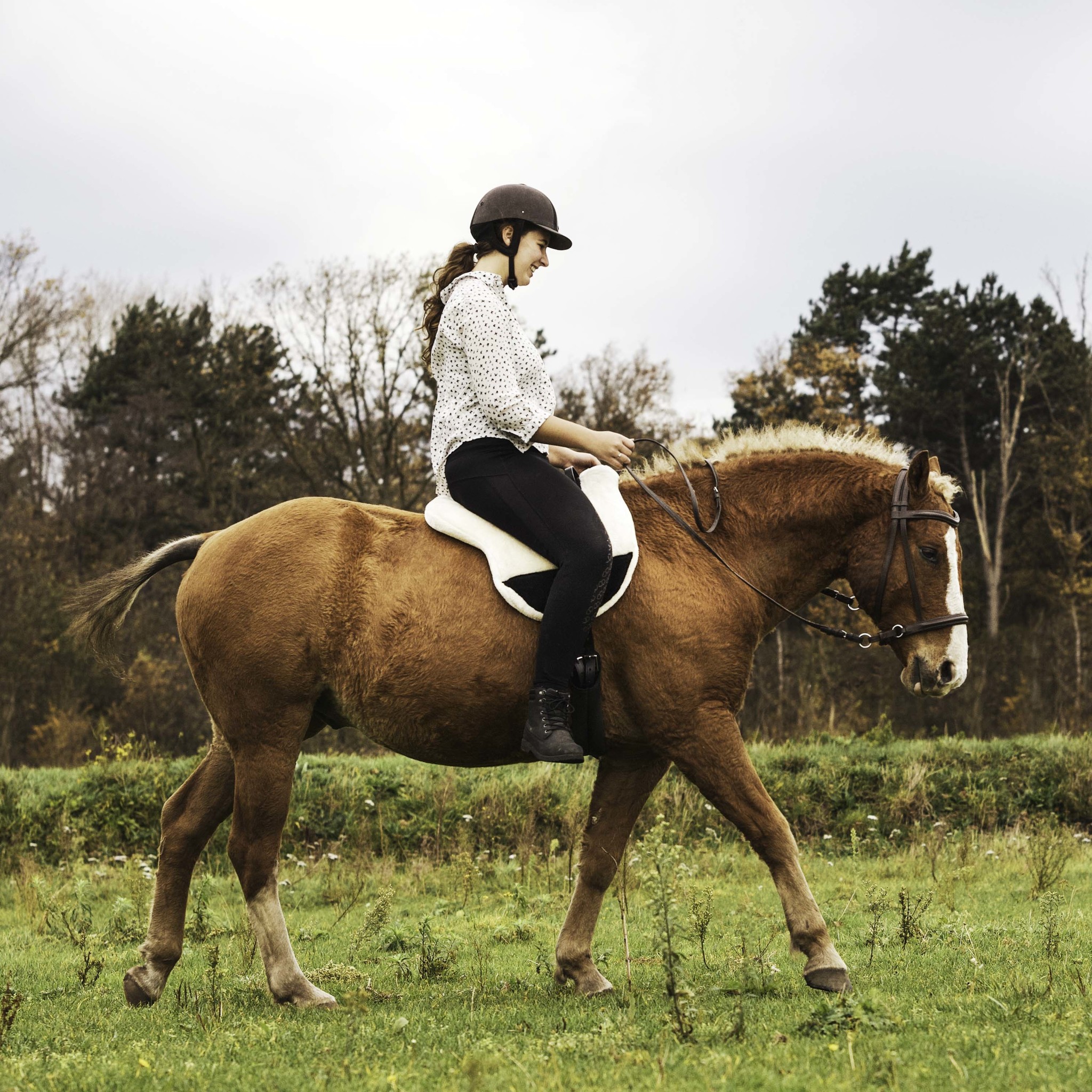 Bisco barebackpad wol