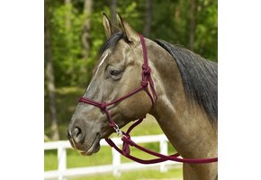 Sidepull rope halter
