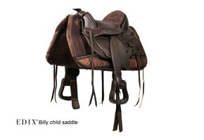 Treeless Saddle Billy
