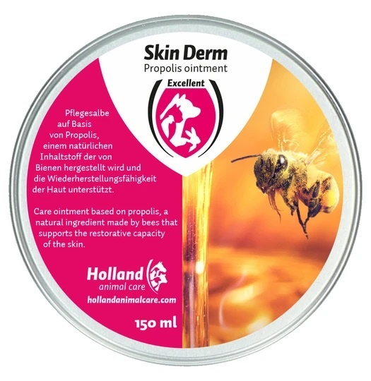 Skin Derm propolis honingzalf