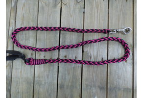 Fotoshooting Amber Führleine rosa-schwarz