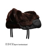 bareback pad Signor anatomical