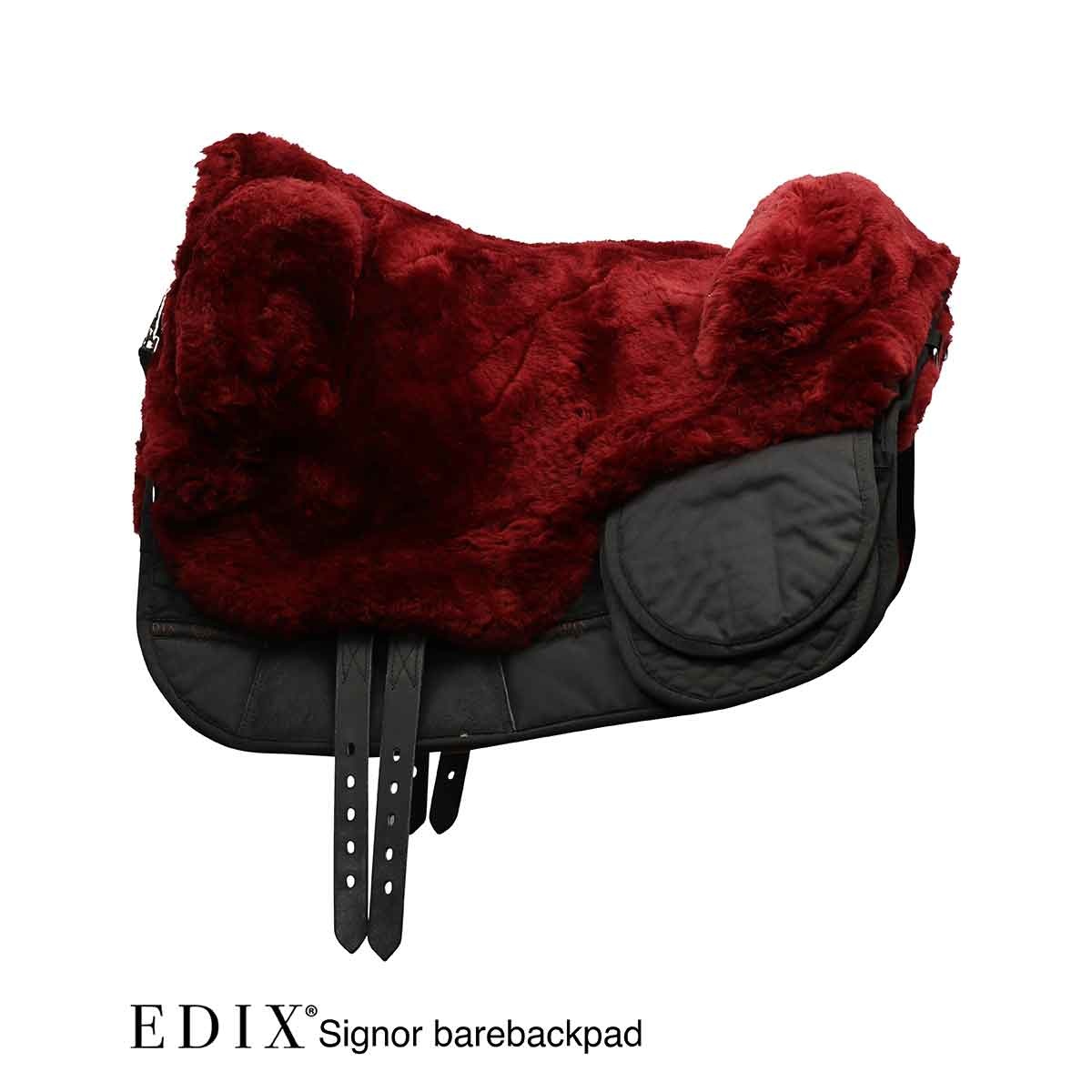bareback pad Signor anatomical