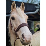 Rose chin crossed bitless bridle with reins