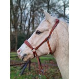 Gebissloses Zaumzeug mit gekreuztem Kinn  Rose mit Zugel