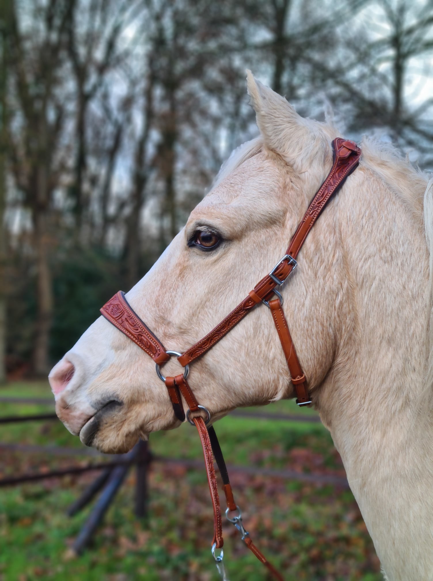 Rose chin crossed bitless bridle with reins