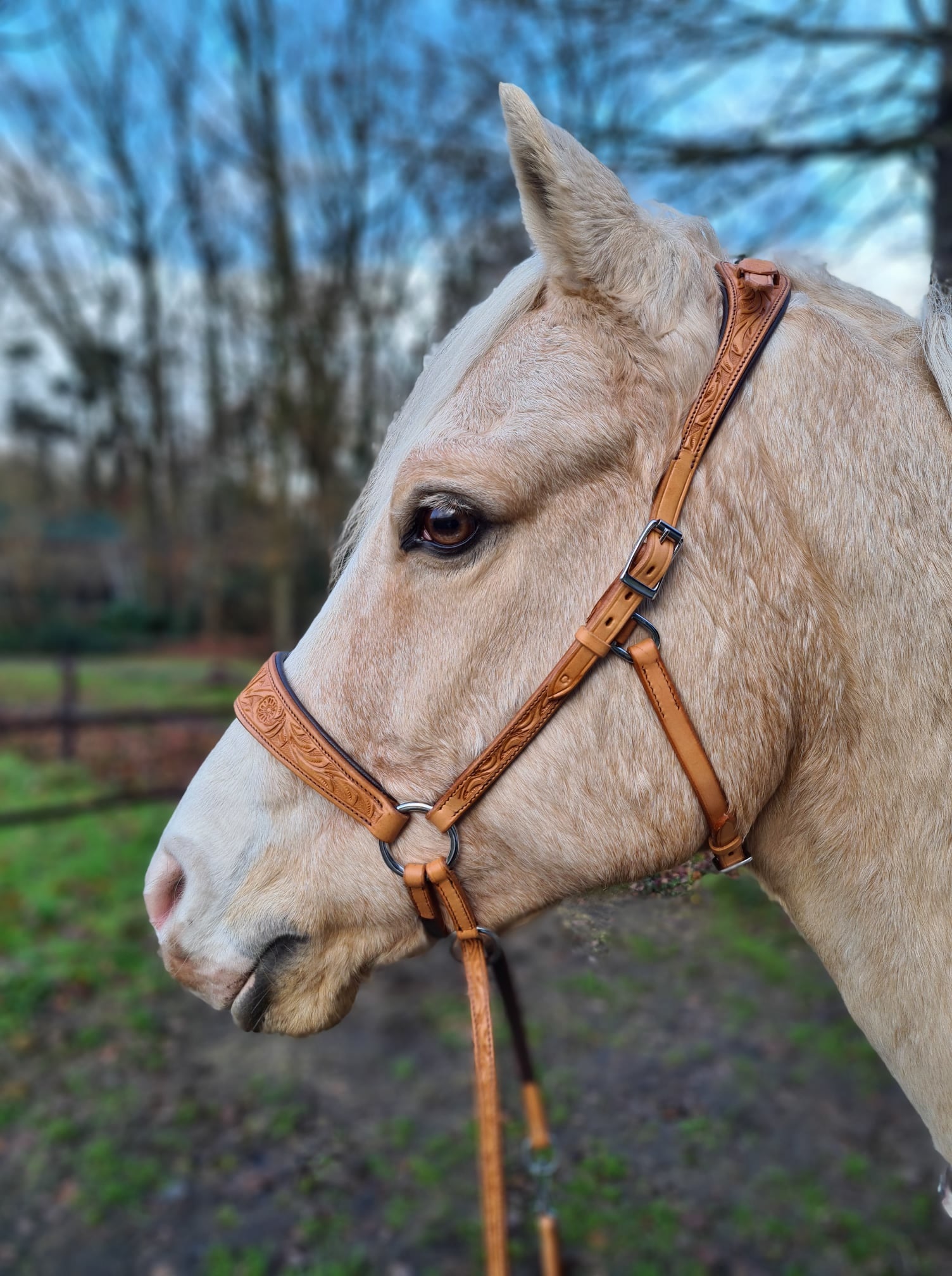Rose chin crossed bitless bridle with reins