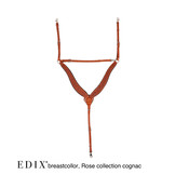 Borsttuig voor westernzadel