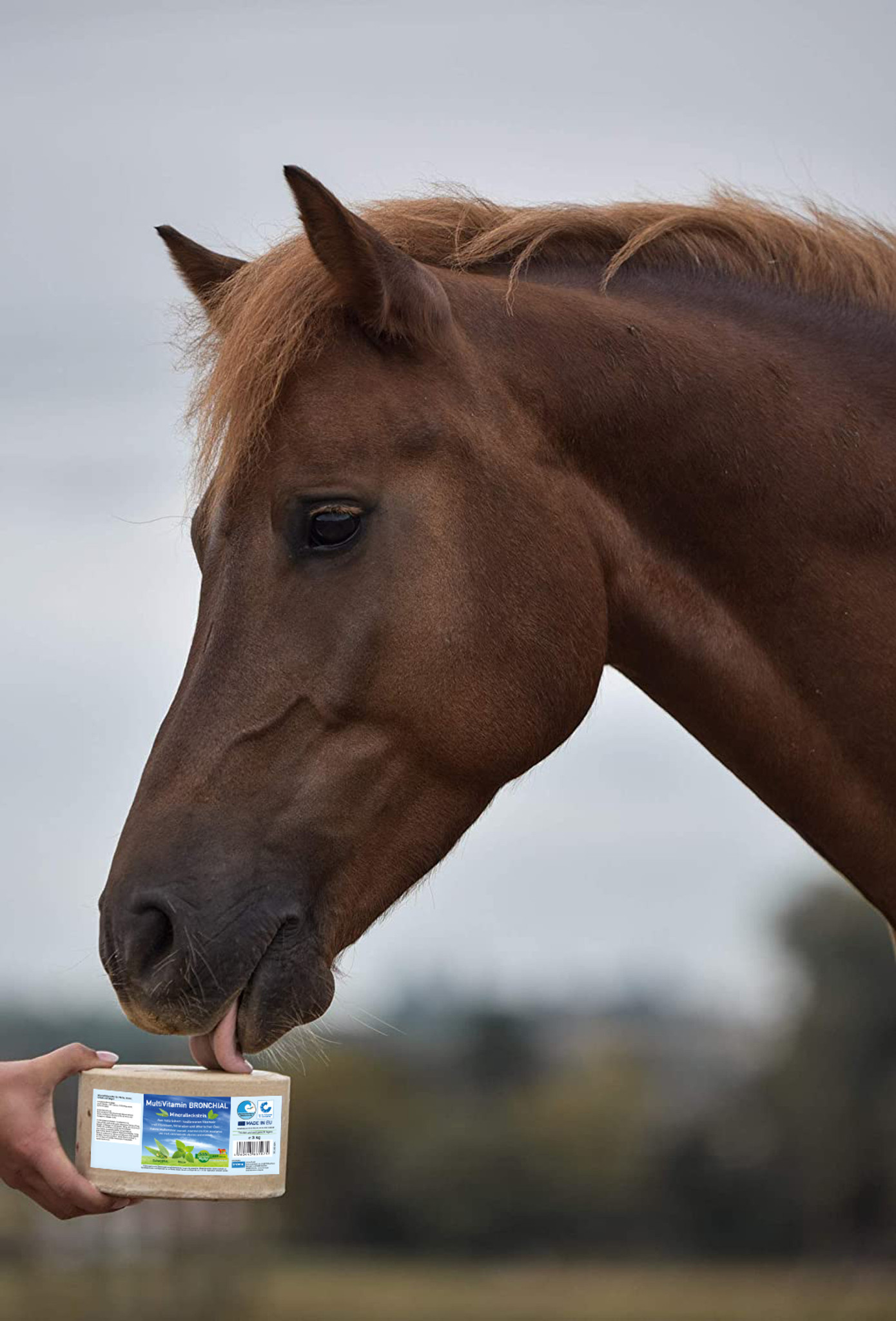 Lick MultiVitaminBronchial horse 3kg