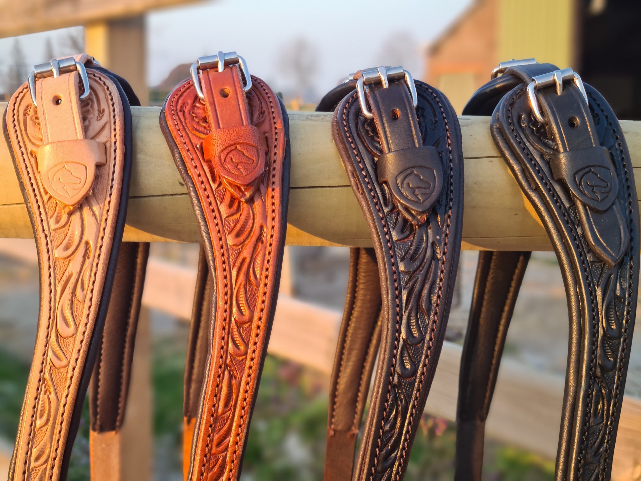 Rose sidepull bitless bridle