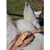 Rose sidepull bitless bridle