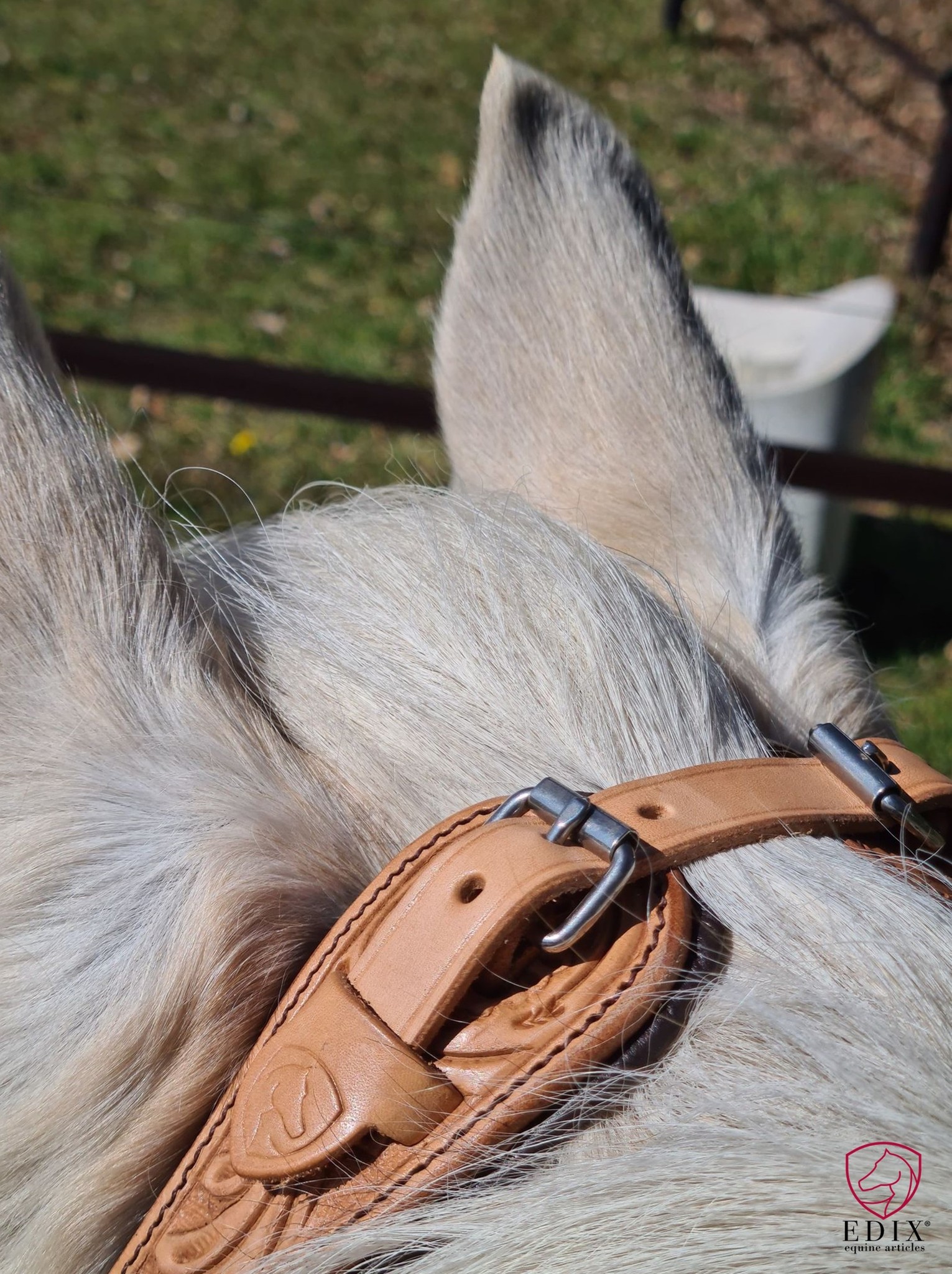 Rose sidepull bitless bridle