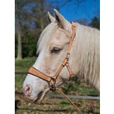 Rose sidepull bitless bridle