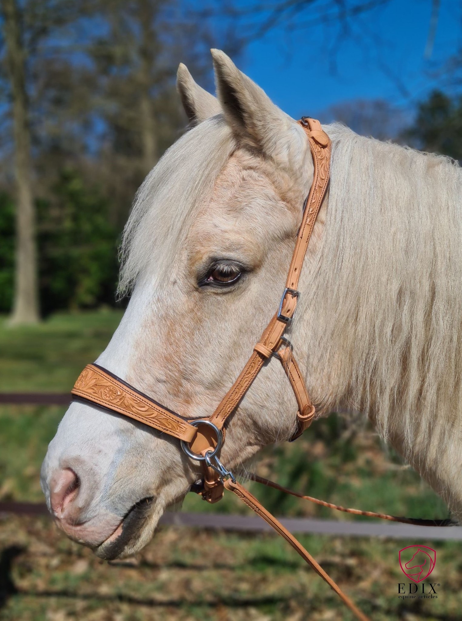 Rose sidepull bitless bridle