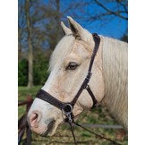 Gebissloser Zaum Rose sidepull