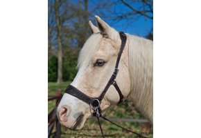 Rose sidepull bitlooshoofdstel