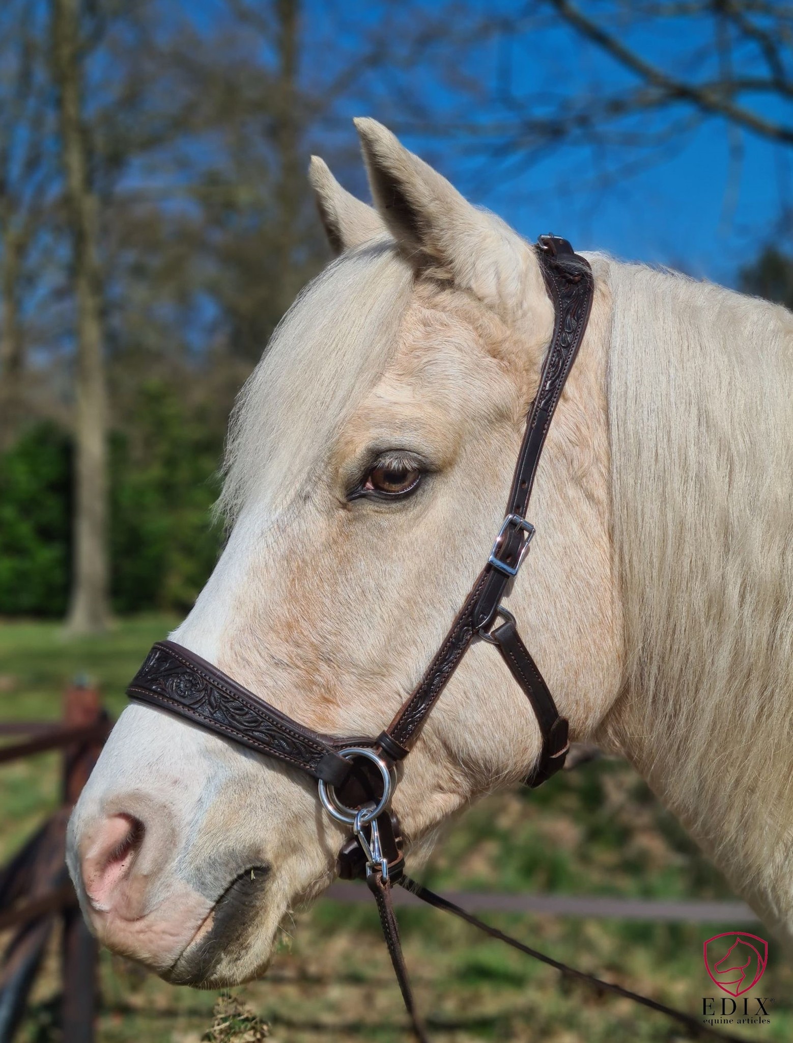 Gebissloser Zaum Rose sidepull