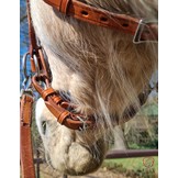 Gebissloser Zaum Rose sidepull