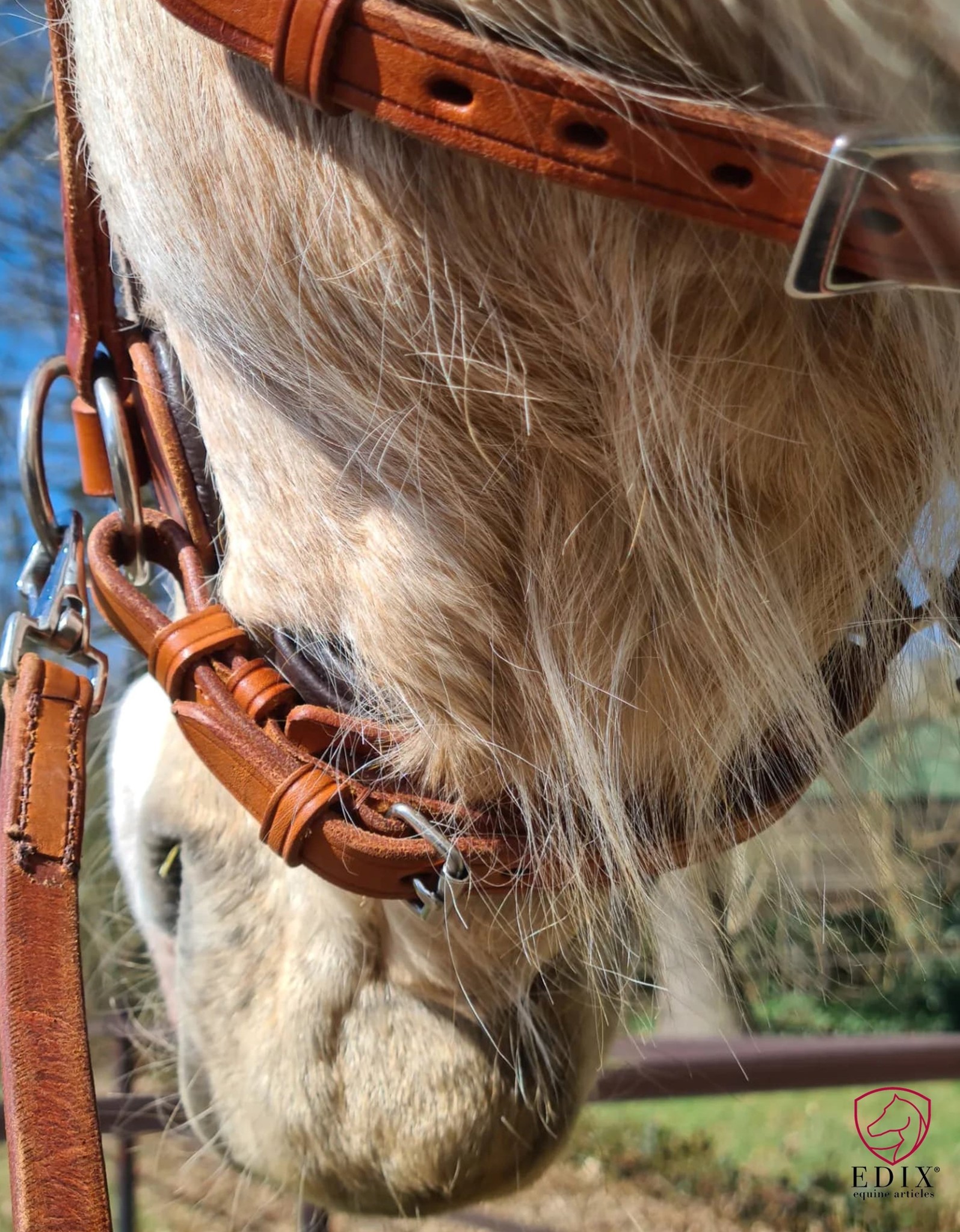 Rose sidepull bitless bridle