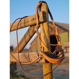 Rose sidepull bitless bridle