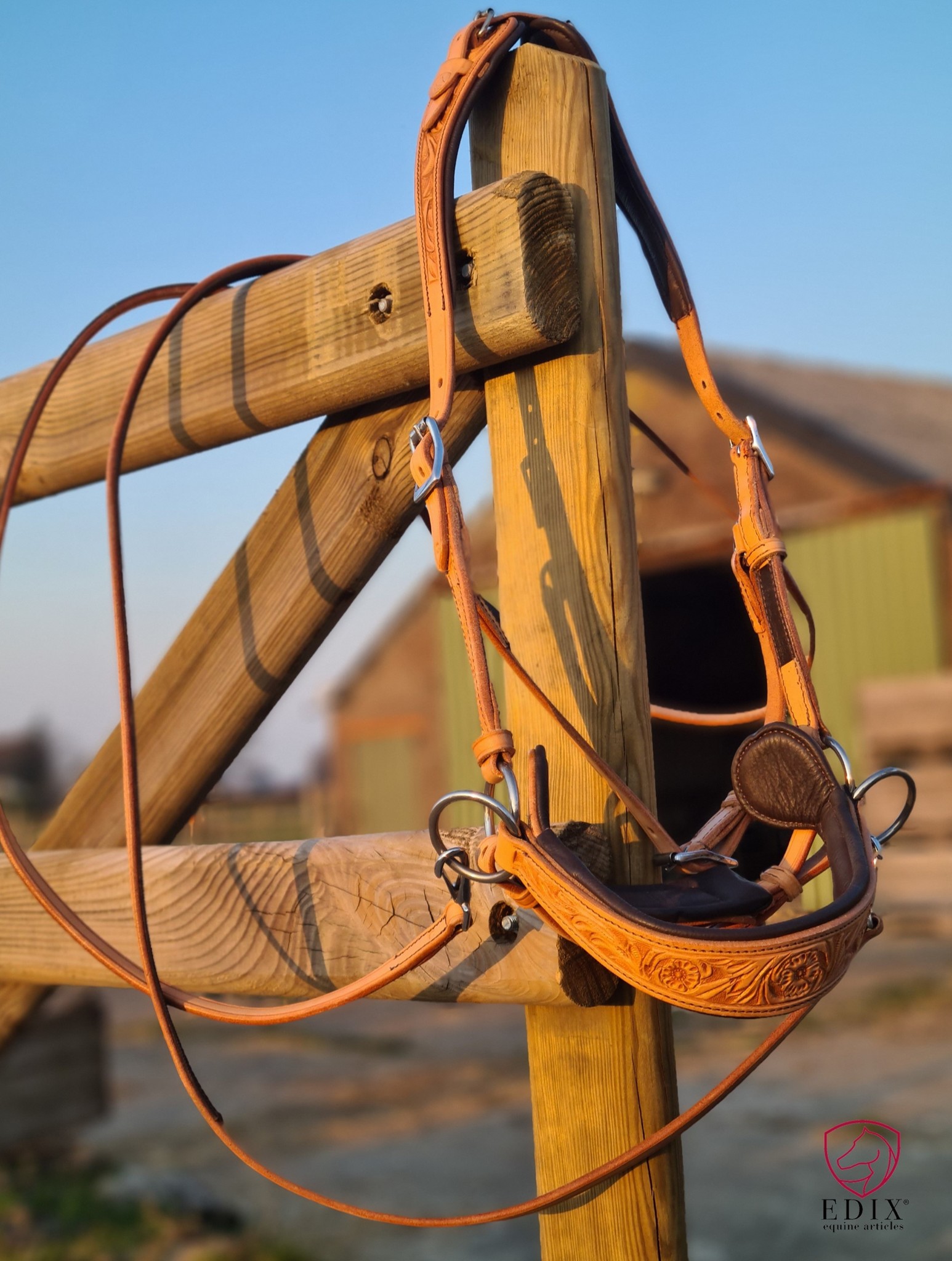 Gebissloser Zaum Rose sidepull