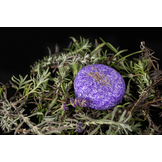 Shampoo bar Lavendel fur Pferde