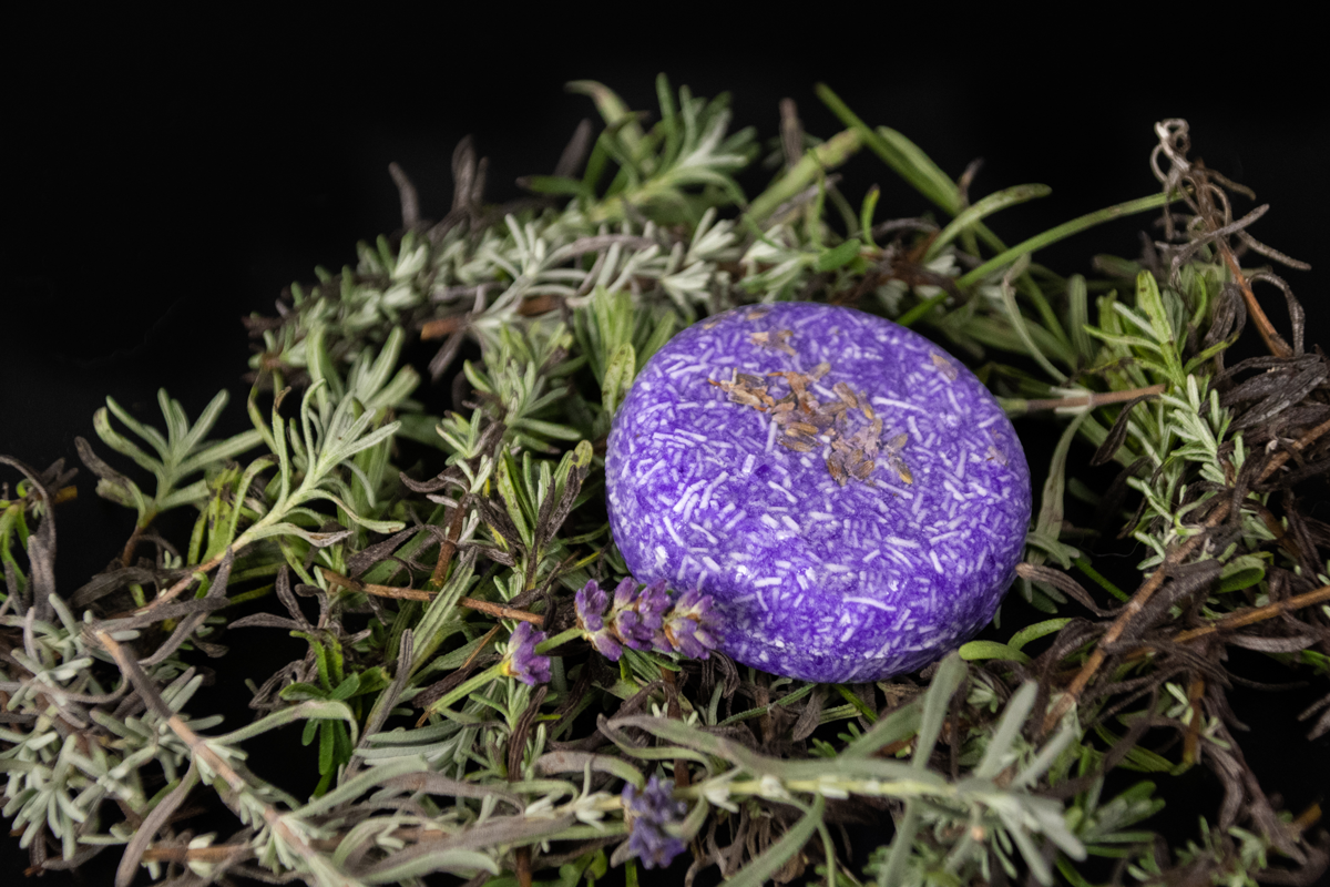 Shampoo bar Lavendel fur Pferde