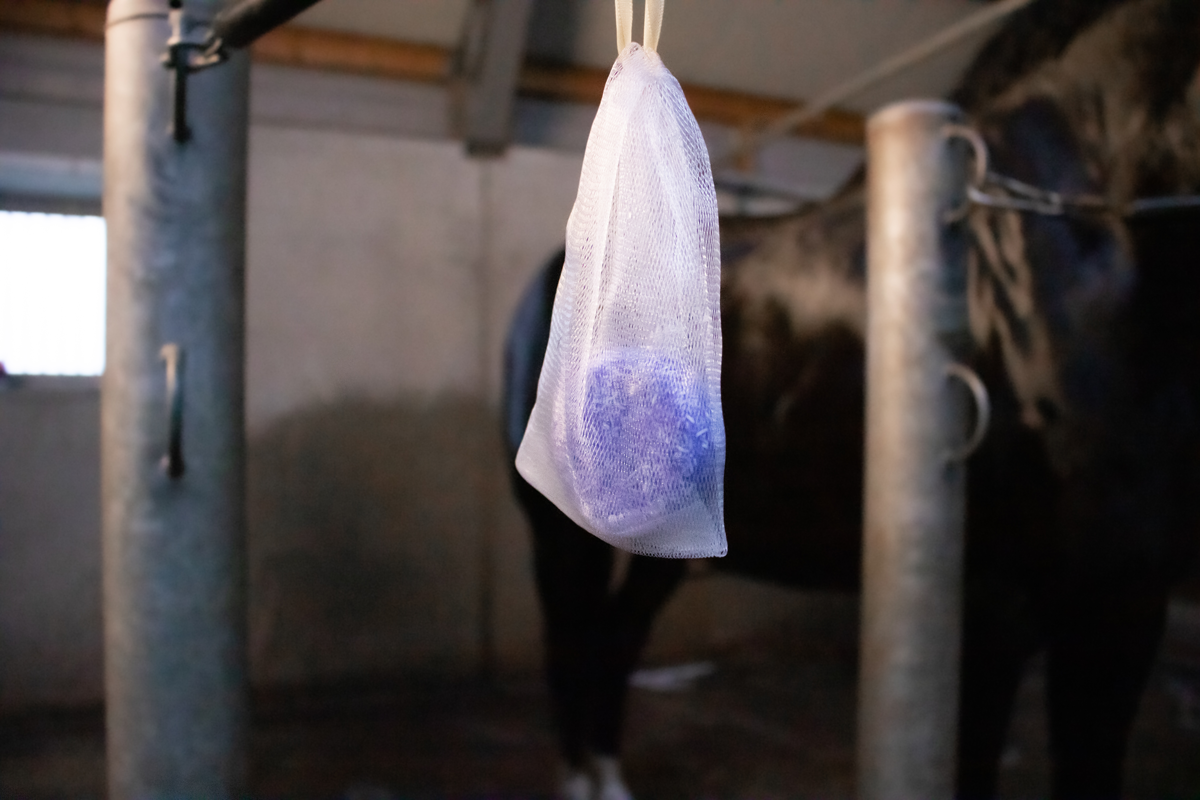 Shampoo bar Lavender for horses