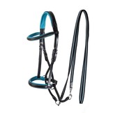 Dietsji Kiefer gekreuzte bitless Zaumzeug einschließlich Zügel